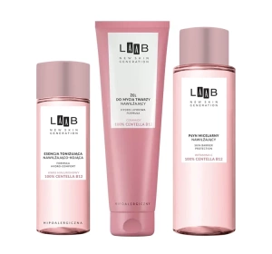 AA Laab zestaw do pielęgnacji twarzy tonik 200ml + płyn micelarny 400ml + żel do twarzy 150ml  