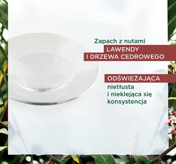 Klorane Chinina i organiczna szarotka serum przeciw wypadaniu włosów 100ml