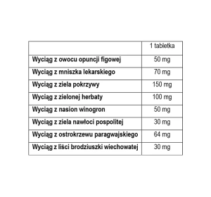 Aflofarm Hydrominum Detox 30 tabletek